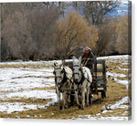 Hitched to the Old Feed Wagon db - Canvas Print