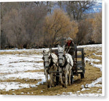 Hitched to the Old Feed Wagon db - Canvas Print