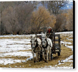 Hitched to the Old Feed Wagon db - Canvas Print