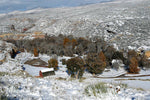 Snowy Autumn Day - Art Print
