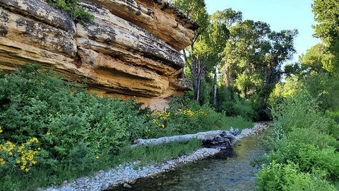 Summer Along Medicine Lodge Creek - Art Print