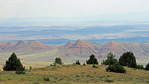 Wyoming's Big Horn Basin - Art Print