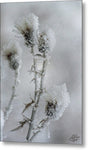 Winter's Grip 3 - Metal Print