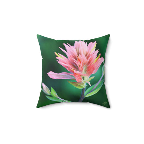 Pinkbrush Pillow