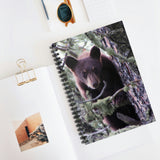 Curious Cub Notebook