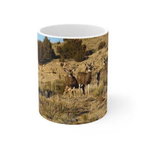 Mule Deer