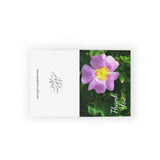 Wild Rose Thank You cards (8, 16, and 24 pcs)