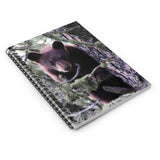 Curious Cub Notebook