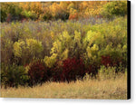 A Fall Display - Canvas Print