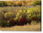 A Fall Display - Canvas Print