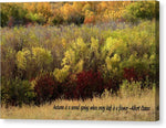 A Fall Display with quote - Canvas Print