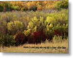 A Fall Display with quote - Metal Print