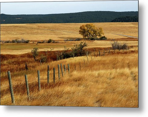 Autumn Fence Line - Metal Print