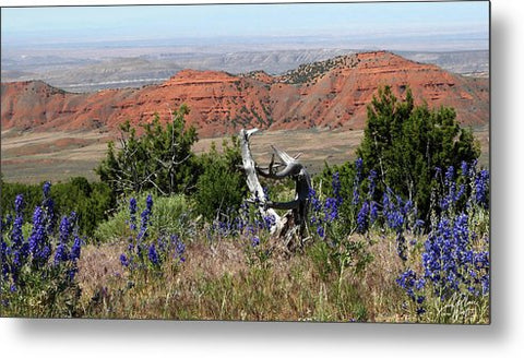 Beauty of the Big Horn Basin - Metal Print