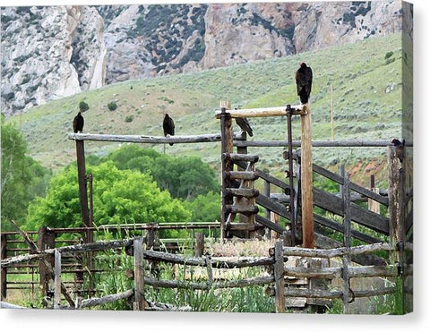 Buzzard Perch - Canvas Print