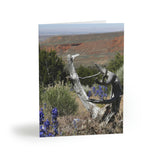 Desert Color Greeting cards (8, 16, and 24 pcs)