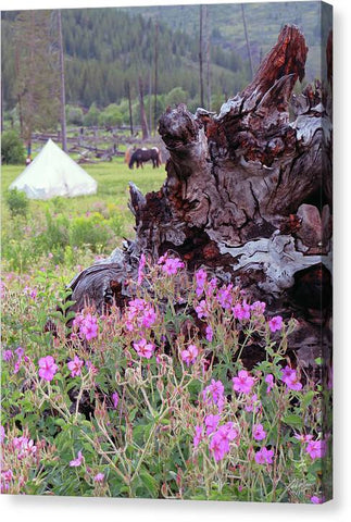 Camp Bouquet  - Canvas Print