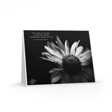 Beauty in Black & White Greeting Cards (8, 16, & 24 pcs)