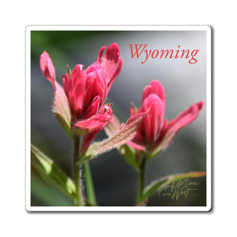 (Wyoming) Indian Paintbrush Magnet