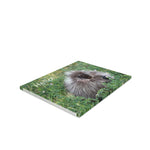 Porcupine Pose Greeting Cards (8, 16, & 24 pcs)