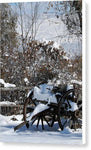 Country Snow  - Canvas Print