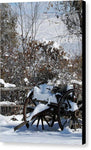 Country Snow  - Canvas Print