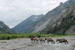 Crossing the Shoshone - Art Print