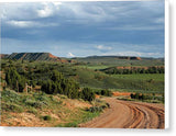 Desert Rangeland - Canvas Print