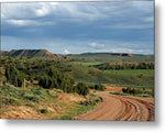 Desert Rangeland - Metal Print