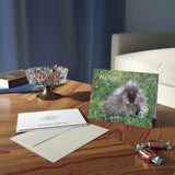 Porcupine Pose Greeting Cards (8, 16, & 24 pcs)