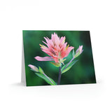 Pinkbrush Greeting cards (8, 16, and 24 pcs)