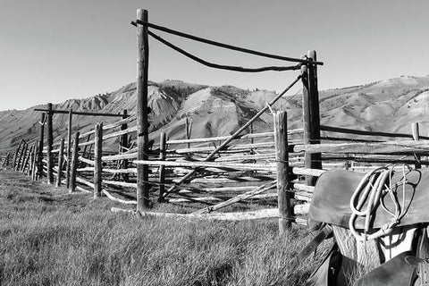 Empty Corrals - Art Print