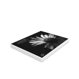 Beauty in Black & White Greeting Cards (8, 16, & 24 pcs)