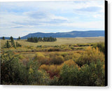 Fall Colors Along Flat Willow Creek - Canvas Print