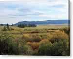 Fall Colors Along Flat Willow Creek - Canvas Print