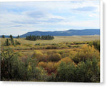 Fall Colors Along Flat Willow Creek - Canvas Print