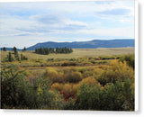 Fall Colors Along Flat Willow Creek - Canvas Print