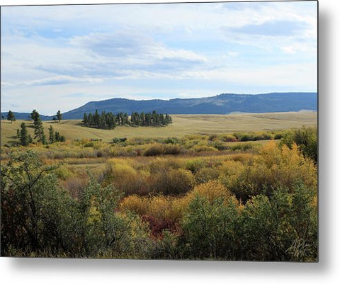 Fall Colors Along Flat Willow Creek - Metal Print