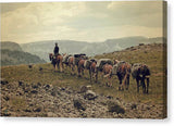 Into the Backcountry  - Canvas Print