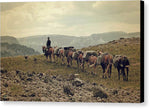 Into the Backcountry  - Canvas Print