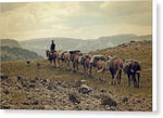 Into the Backcountry  - Canvas Print