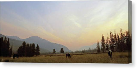 Morning in the Meadow - Canvas Print