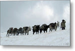 On the Move - Metal Print