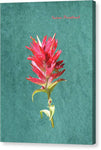 Paintbrush Bloom - Canvas Print