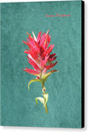 Paintbrush Bloom - Canvas Print