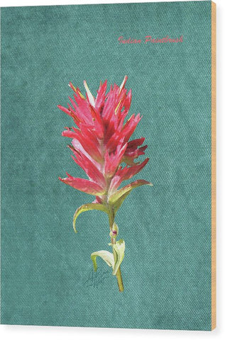 Paintbrush Bloom - Wood Print
