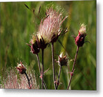 Pink Smoke - Metal Print