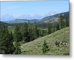 Distant Peaks - Metal Print