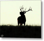 Song at Sunrise - Metal Print