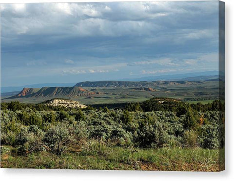 Spring Green in the Desert - Canvas Print